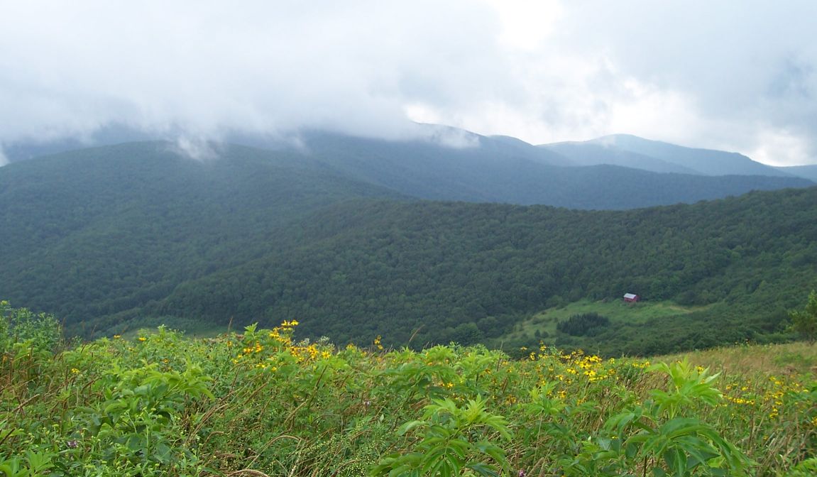 Looking back to Overmountain Shelter